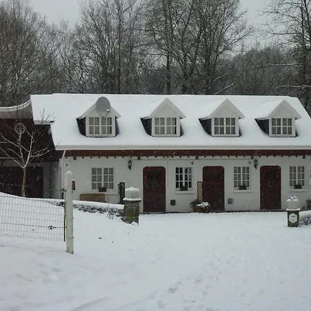 Gorgeous Apartment In Bohon With Garden Furniture And Bbq Barvaux