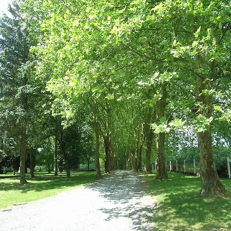 Apartamento Gorgeous In Bohon With Garden Furniture And Bbq *